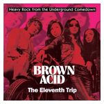 Various Artists: Brown Acid: The Eleventh Trip [LP] - VINYL Product Image