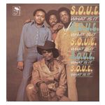 S.O.U.L.: What Is It [LP] - VINYL Product Image