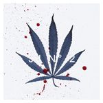 jj: jj No. 2 [LP] - VINYL Product Image