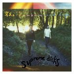 Supreme Dicks: The Unexamined Life [LP] - VINYL Product Image