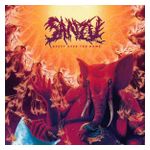 Sanzu: Heavy Over the Home [Orange Vinyl] [LP] - VINYL Product Image