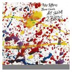 Peter Jefferies: At Swim 2 Birds [LP] - VINYL Product Image