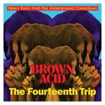 Various Artists: Brown Acid: Fourteenth Trip [LP] - VINYL Product Image