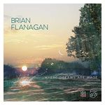 Brian Flanagan: Where Dreams Are Made [LP] - VINYL Product Image