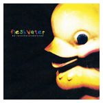 Fleshwater: We're Not Here to Be Loved [LP] - VINYL Product Image