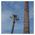 So Stressed: Please Let Me Know [LP] - VINYL Product Image