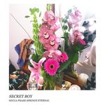 Wicca Phase Springs Eternal: Secret Boy [LP] - VINYL Product Image