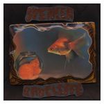 Spencer Radcliffe: Looking In [LP] - VINYL Product Image