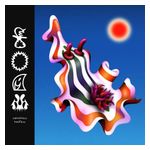 Divino Niño: Foam [LP] - VINYL Product Image