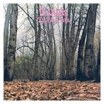 Twink: Think Pink [LP] - VINYL Product Image
