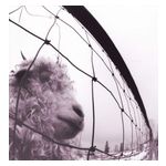 Pearl Jam: Vs. [Remastered] [LP] - VINYL Product Image