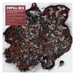 Fovea Hex: The Salt Garden [LP] - VINYL Product Image