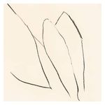 Jon Porras: Voices of the Air [LP] - VINYL Product Image