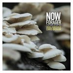 Chris Brokaw: Now, Forager [LP] - VINYL Product Image