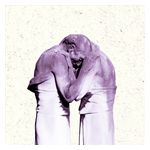 The Antlers: Familiars [LP] [LP] [VINYL] Product Image