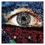 The Public Opinion Afro Orchestra: Naming & Blaming [LP] - VINYL Product Image