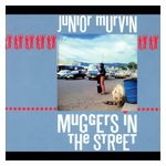 Junior Murvin: Muggers in the Street [LP] - VINYL Product Image