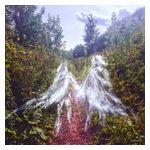 Pénélope Antena: Beamorose [LP] - VINYL Product Image