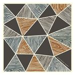 Mikel Erentxun: Eléctrica PKWAY [LP] [VINYL] Product Image