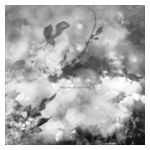 Exitmusic: The Recognitions [LP] - VINYL Product Image