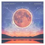 Digging Roots: Zhawenim [LP] - VINYL Product Image