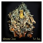 Werewolf Jones: Rot Away [LP] [VINYL] Product Image