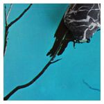 Tangents: Stateless [LP] [LP] - VINYL Product Image