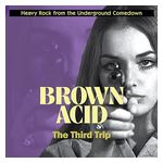 Various Artists: Brown Acid: The Third Trip [LP] - VINYL Product Image