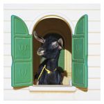 Superchunk: Wild Loneliness [LP] - VINYL Product Image