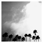 Richard Rose: Radiation Breeze [LP] [VINYL] Product Image