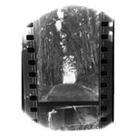 Seahaven: Winter Forever [LP] [VINYL] Product Image