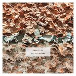 Cable Ties: All Her Plans [LP] [VINYL] Product Image