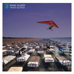 Pink Floyd: A Momentary Lapse of Reason [LP] [VINYL] Product Image