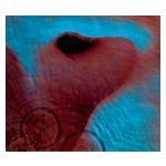 Pink Floyd: Meddle [LP] - VINYL Product Image