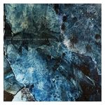 Peter Bjärgö: The Translucency of Mind's Decay [LP] [VINYL] Product Image