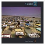 Pink Floyd: A Momentary Lapse of Reason [LP] - VINYL Product Image