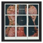 Dashboard Confessional: All the Truth That I Can Tell [LP] [VINYL] Product Image