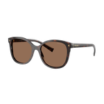 Prada Women's PR 22ZS Sunglasses Tartaruga Radica/Dark Brown Dark Brown Tartaruga Radica/Dark Brown Product Image