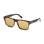 Tom Ford Calder Sunglasses Coloured Havana/Brown Coloured Havana/Brown Brown Product Image