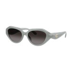 Coach Women's Polarized HC8433U Sunglasses Milky Eucalyptus/Polarized Grey Gradient Milky Eucalyptus Polarized Grey Gradient Product Image