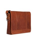 Full-Size Messenger Bag Product Image