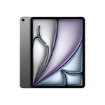 13-inch iPad Air Wi-Fi + Cellular 128GB - Space Gray (M4) Product Image