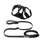 Ridgeline High-Performance Harness Collar Leash Kit - Large/XLarge Obsidian Black Product Image