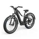 Ranger EB50 Electric Fat Tires Mountain Bike Black Product Image