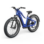 Ranger EB50 Electric Fat Tires Mountain Bike Blue Product Image