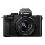 Panasonic LUMIX G100D Mirrorless Camera with 12-32 Product Image