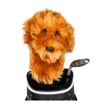 Daphne's Headcovers Doodle Headcover Product Image