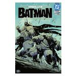 Absolute Batman - 12 Issues Product Image