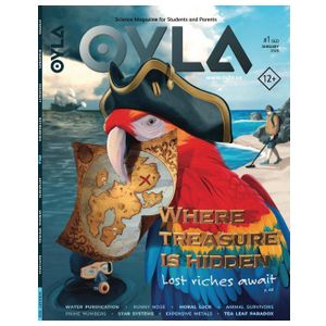OYLA Magazine - 12 Issues Product Image
