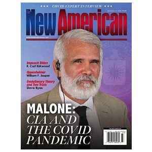 New American - 24 Issues Product Image